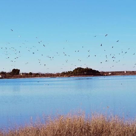 Albergue Los Patos Villafranca de los Caballeros エクステリア 写真
