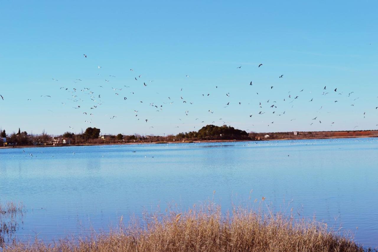 Albergue Los Patos Villafranca de los Caballeros エクステリア 写真